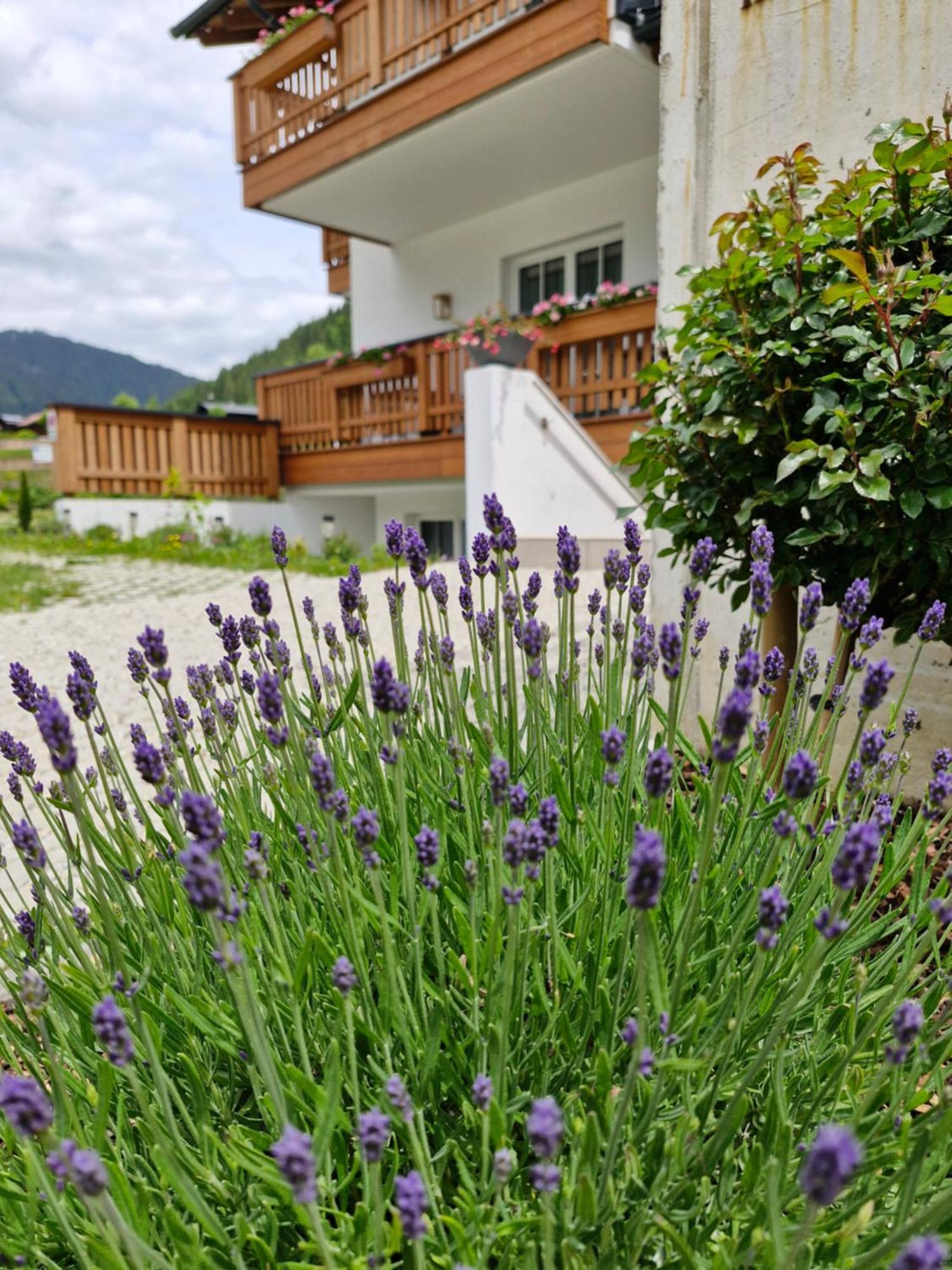 Feine Bleibe Apartman Eben im Pongau Kültér fotó